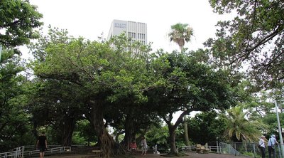 🌳 희망 언덕 공원(키보가오카 코엔)